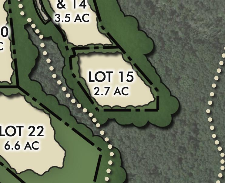 Long Branch 15