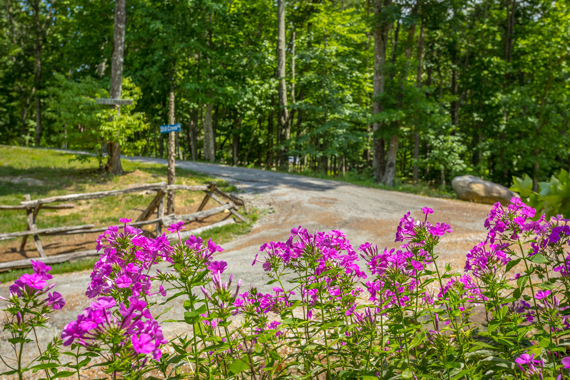 0 Little Bluff Road, Unit 15 Rising Fawn, GA 30738 - Photo 4 of 15 Wild Flowers