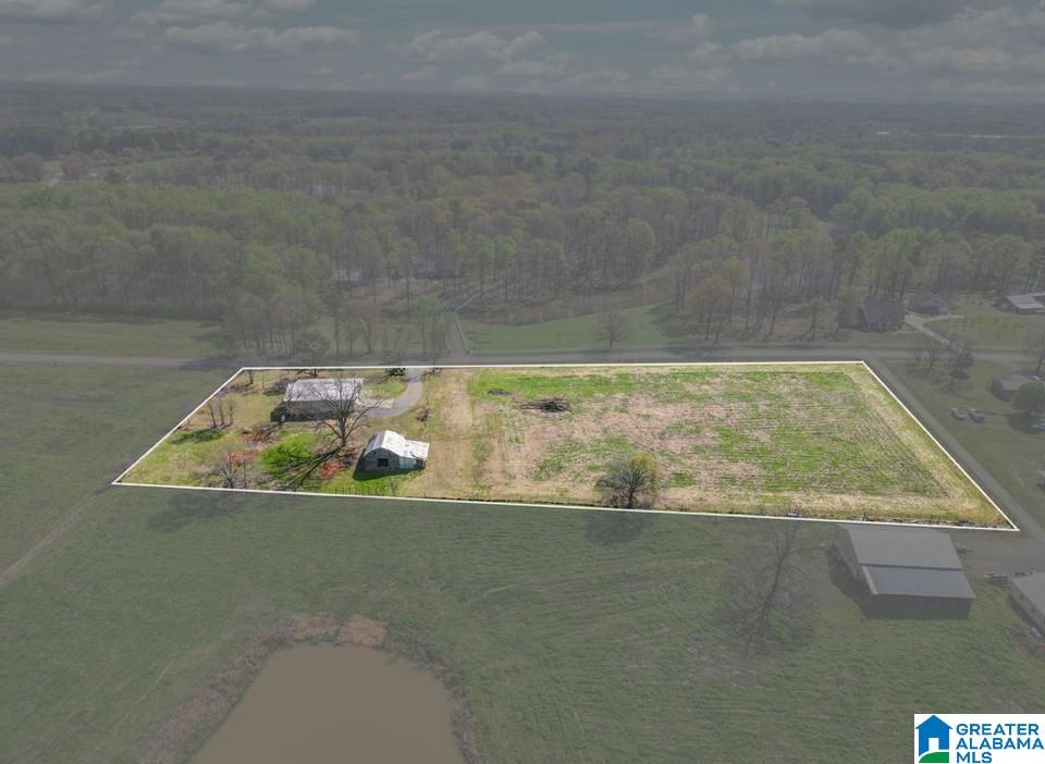 228 County Road 203 Boaz, AL 35957 - Photo 17 of 19