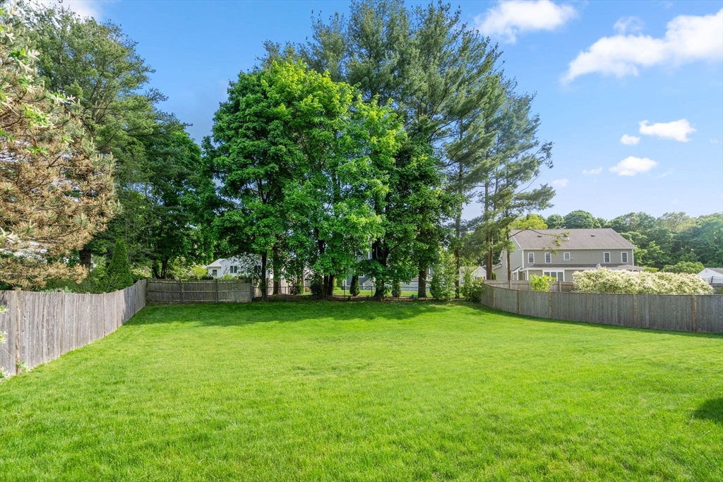 18 Julia Road Needham, MA 02492 - Photo 38 of 41 a view of a yard with a trees in the background