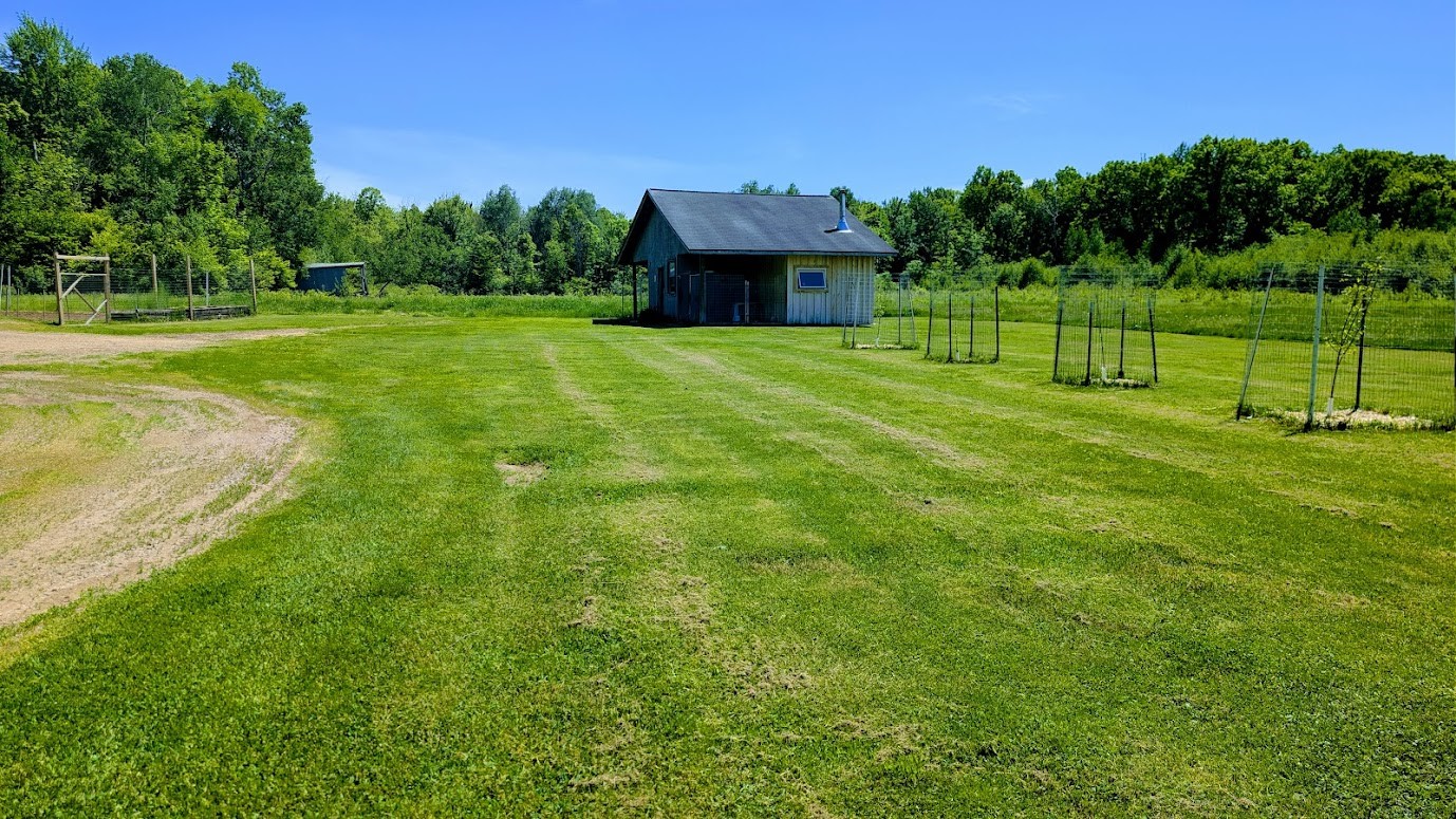 W4241 Walrath Road Glen Flora, WI 54526 - Photo 31 of 60