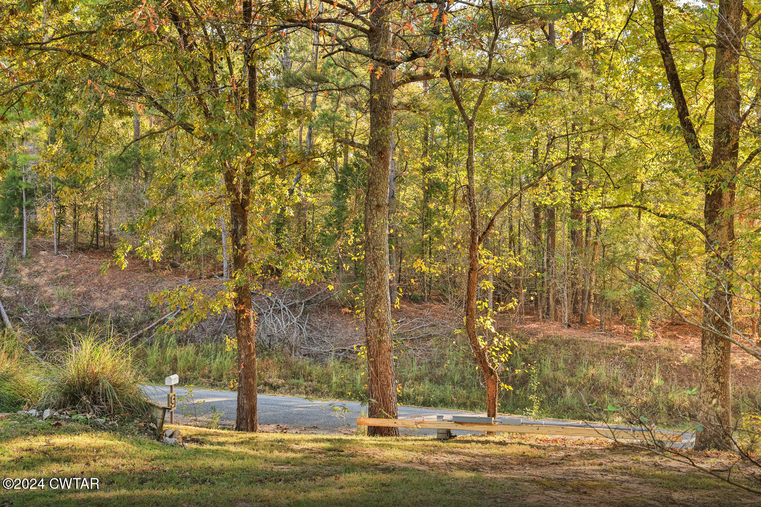 433 Jolly Springs Road Dresden, TN 38225 - Photo 36 of 64 a view of a fountain in middle of the forest