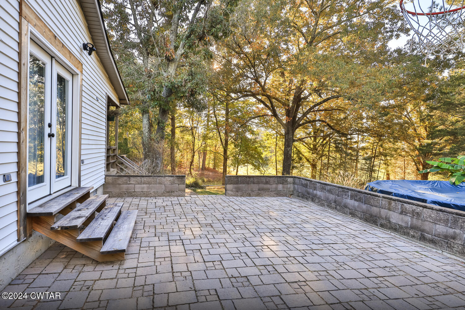 433 Jolly Springs Road Dresden, TN 38225 - Photo 40 of 64 a view of a yard with plants and trees