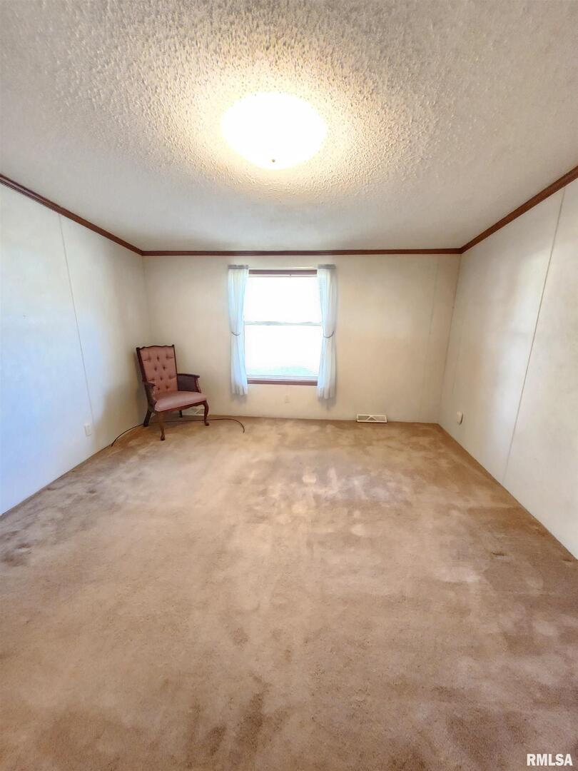 37 Janet Lane Murphysboro, IL 62966 - Photo 22 of 32 an empty room with windows