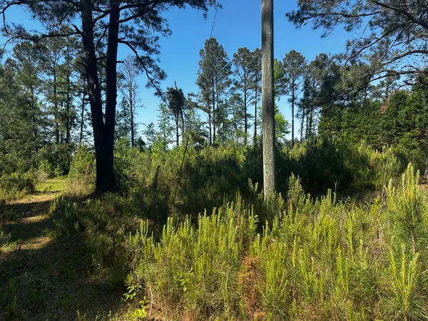 $27,500 | 4360 Livingwood Drive, Sumter, SC 29154