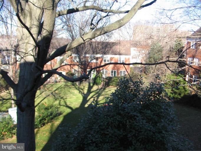 3765 Gunston Road, Unit 543 Alexandria, VA 22302 - Photo 7 of 7 View from Unit