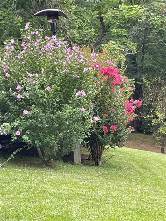 675 McGee Bend Road Southwest Cave Spring, GA 30124 - Photo 62 of 71 a flower plants in front of a house
