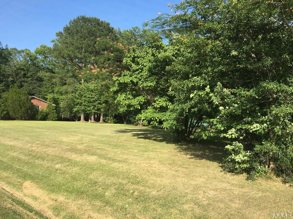 825 Pine Tops Road Murfreesboro, NC 27855 - Photo 3 of 11 Gallery Image 3