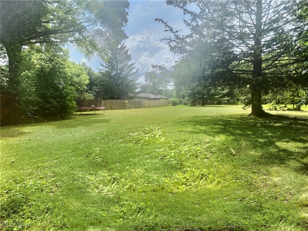 3688 Easton Road Norton, OH 44203 - Photo 7 of 37 View of yard