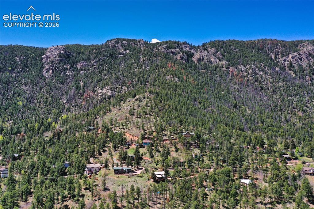 9850 Mohawk Trail Cascade, CO 80809 - Photo 47 of 49