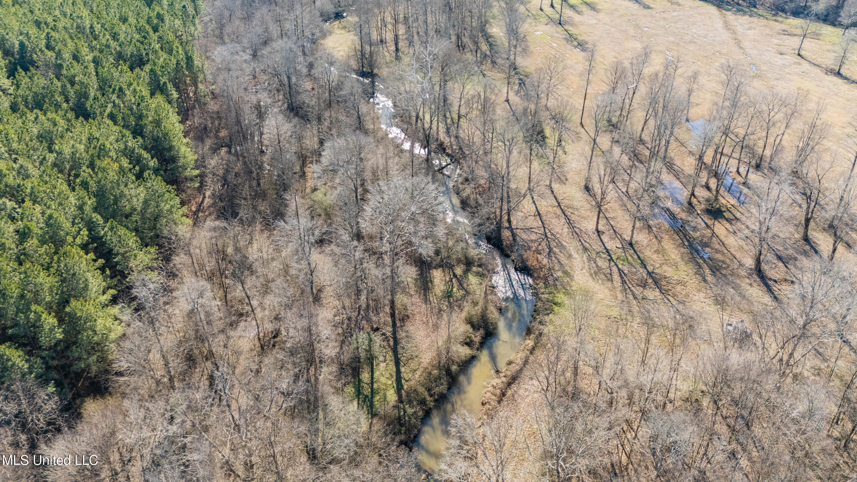 891 Musgray Road Holly Springs, MS 38635 - Photo 84 of 100 182_dji_20260112131407_0243_d - Copy - C