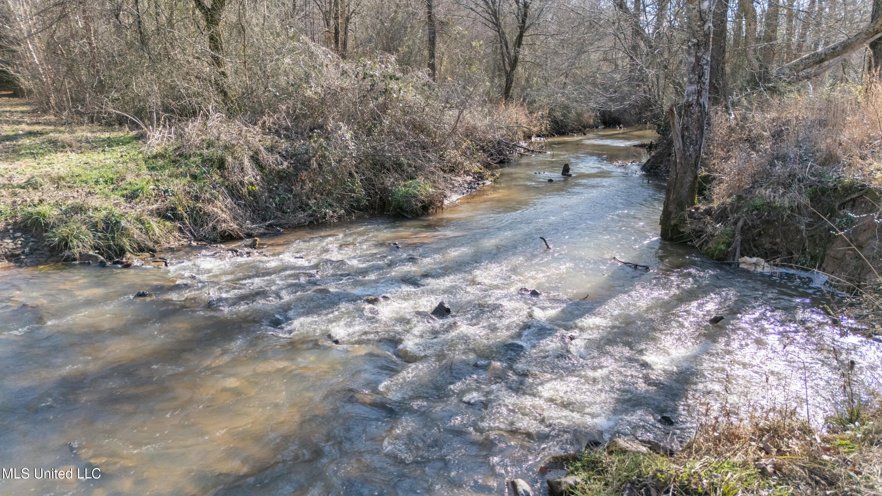 891 Musgray Road Holly Springs, MS 38635 - Photo 86 of 100 184_dji_20260112131806_0262_d