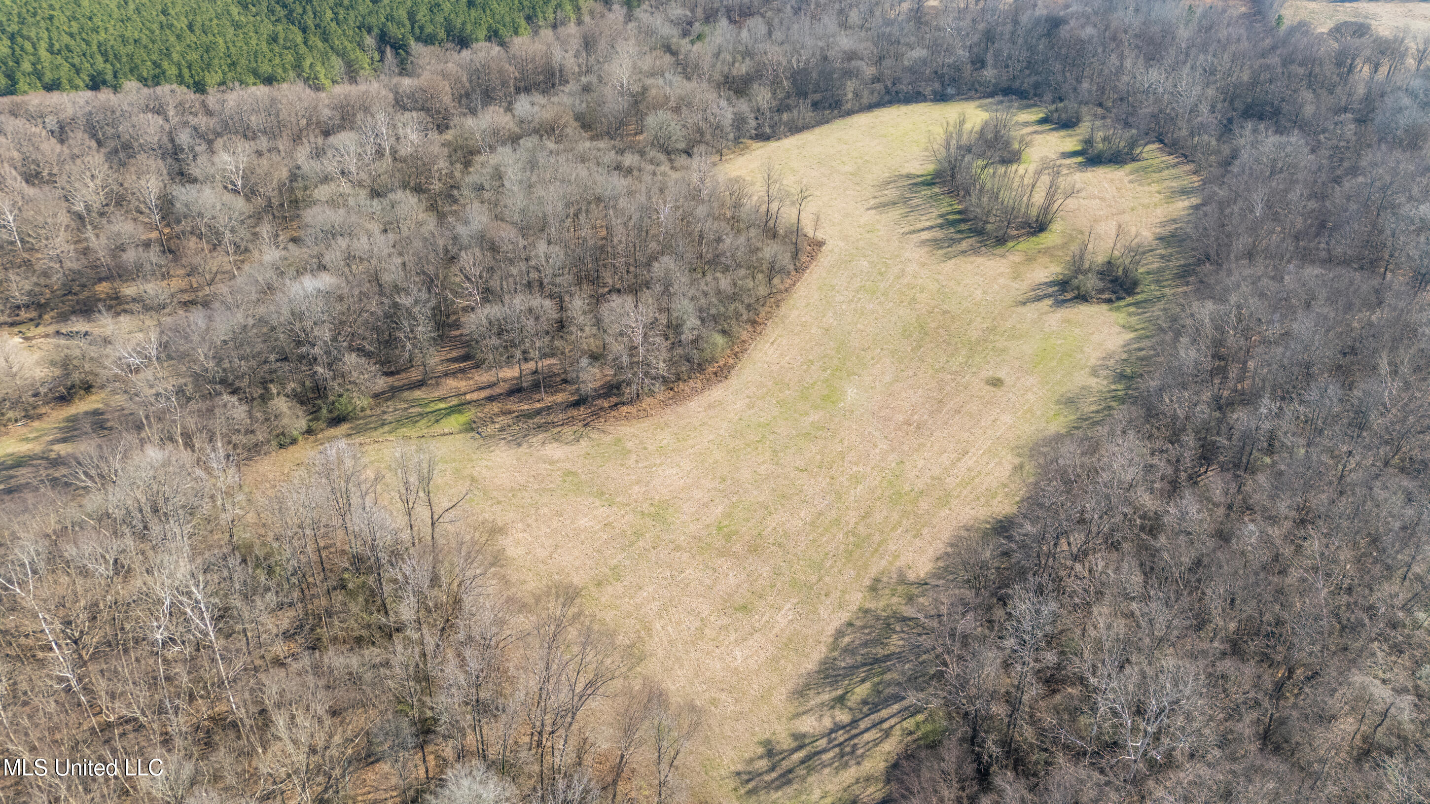 891 Musgray Road Holly Springs, MS 38635 - Photo 89 of 100 188_dji_20260112133045_0285_d
