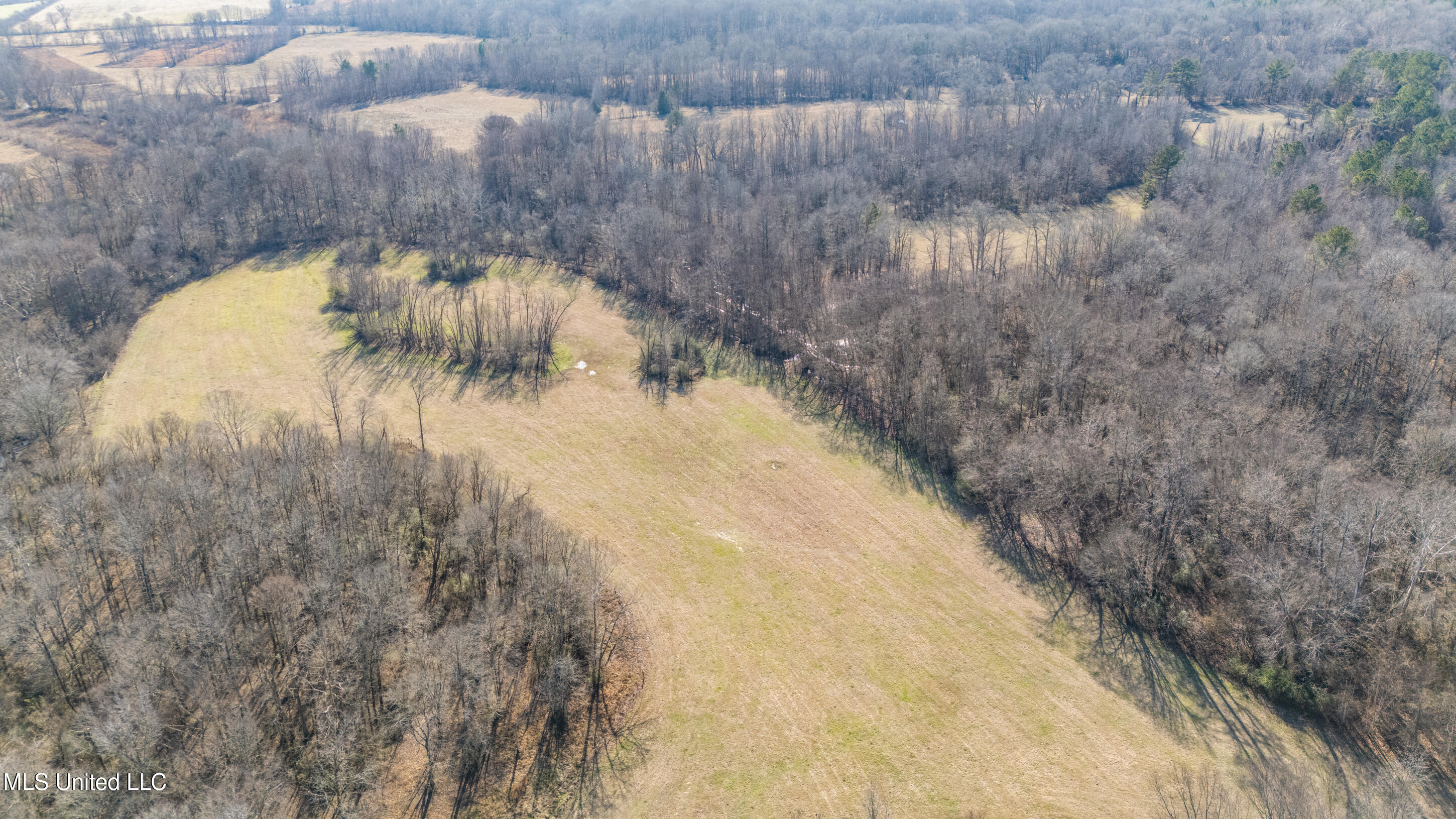 891 Musgray Road Holly Springs, MS 38635 - Photo 90 of 100 189_dji_20260112133126_0291_d