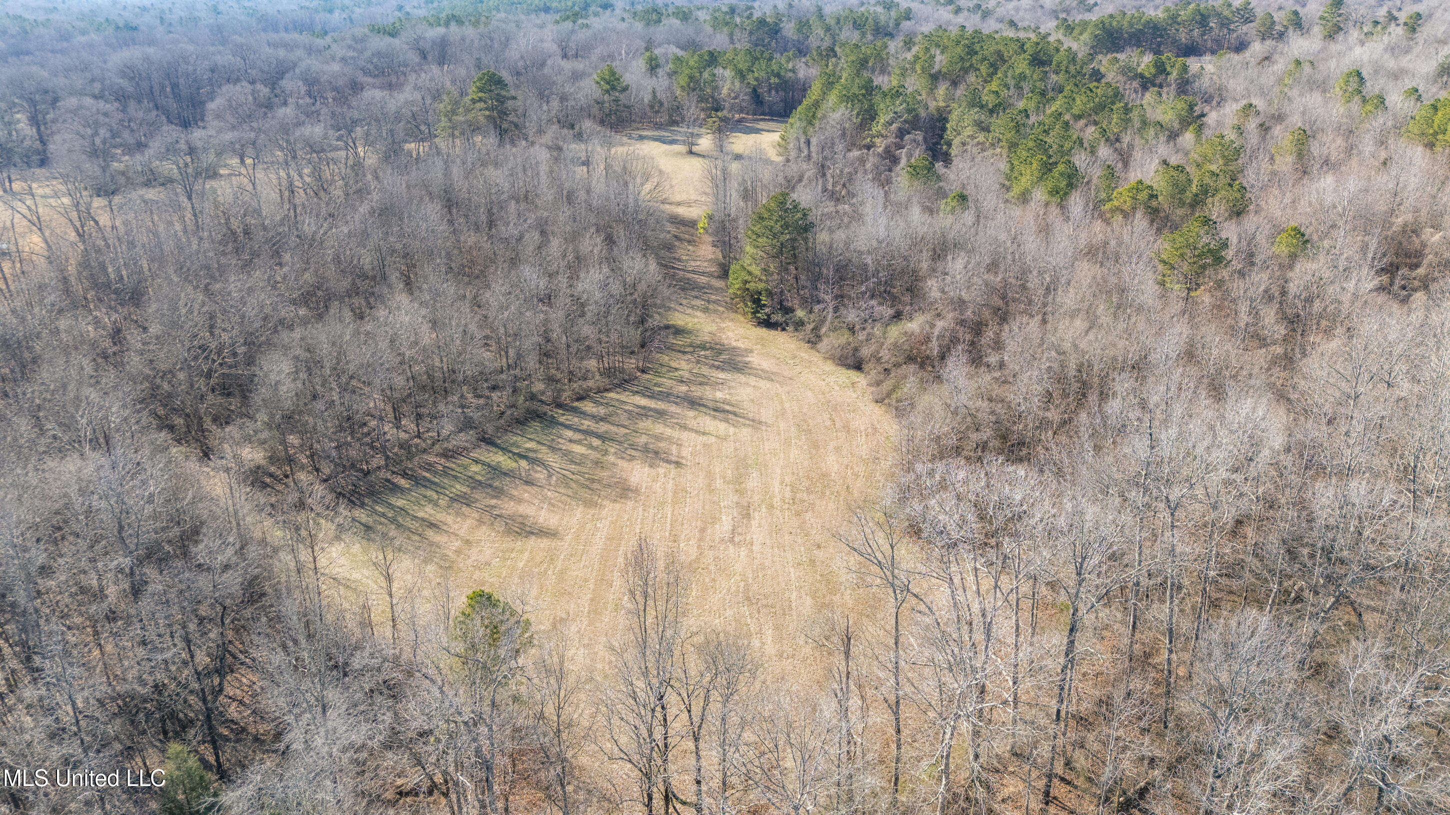 891 Musgray Road Holly Springs, MS 38635 - Photo 91 of 100 190_dji_20260112133313_0298_d