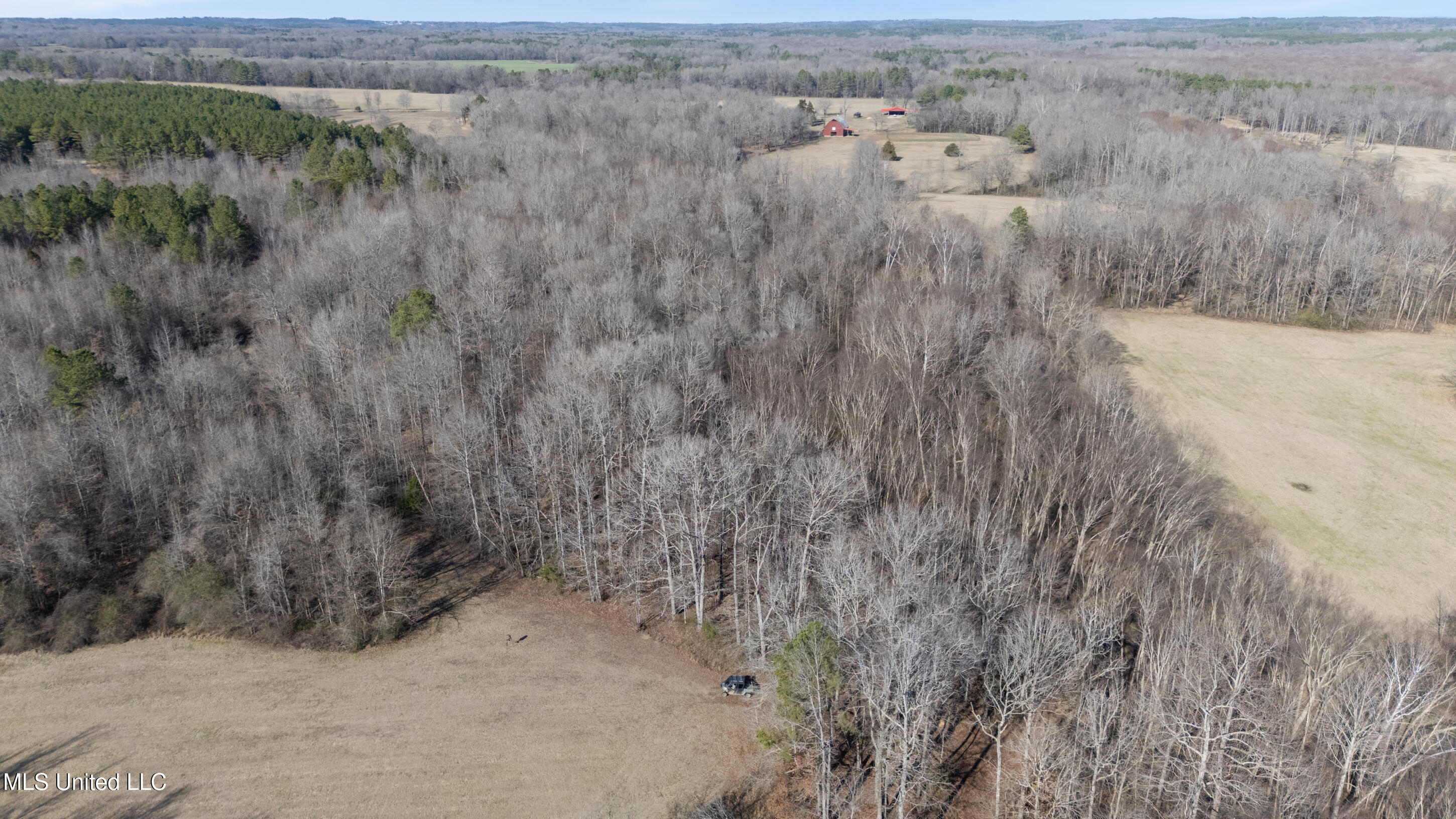 891 Musgray Road Holly Springs, MS 38635 - Photo 92 of 100 191_dji_20260112133641_0306_d - Copy