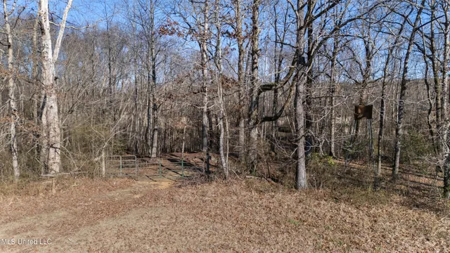 $2,500,000 | 891 Musgray Road, Holly Springs, MS 38635