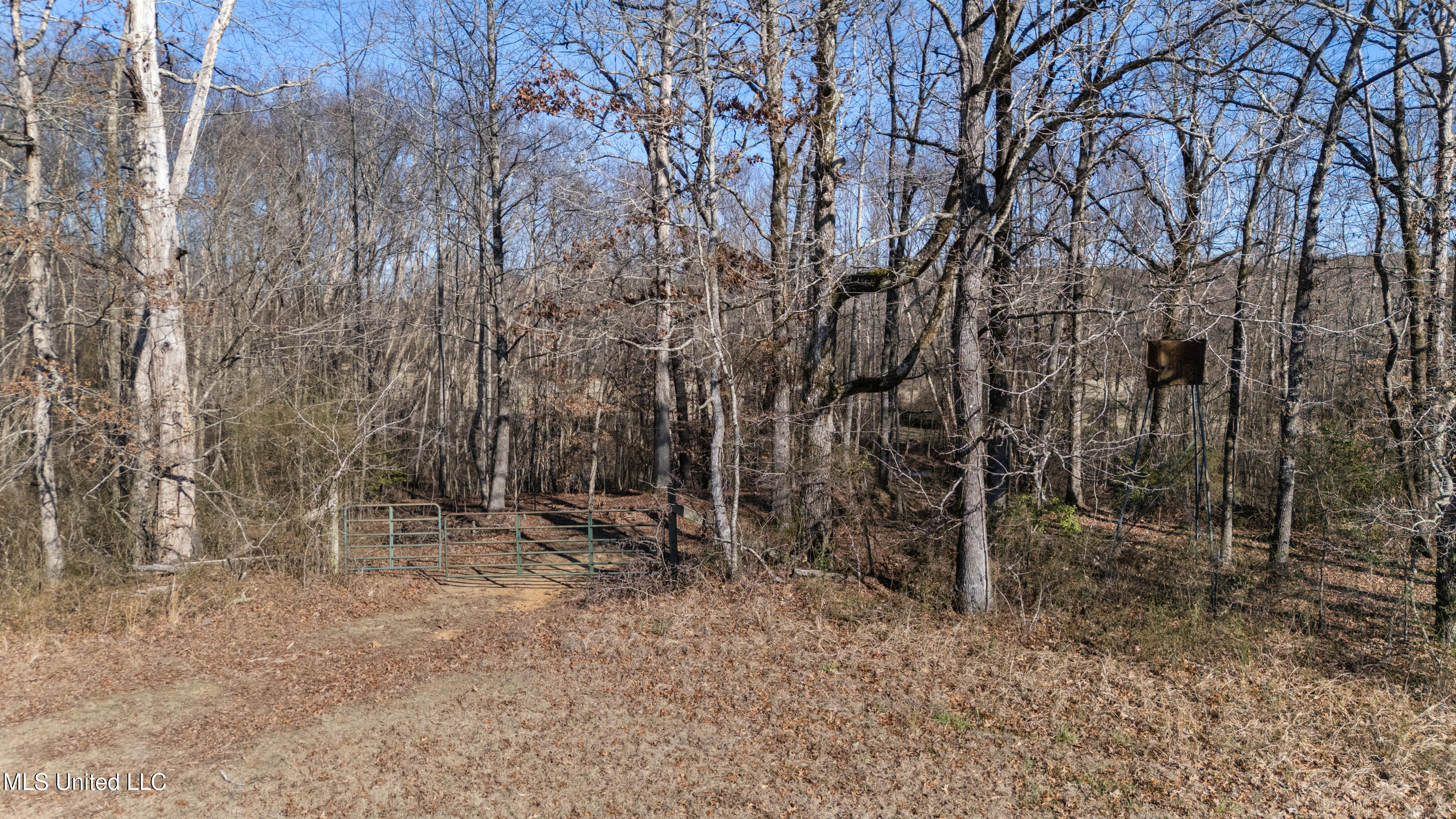 891 Musgray Road Holly Springs, MS 38635 - Photo 93 of 100 192_dji_20260112133801_0311_d