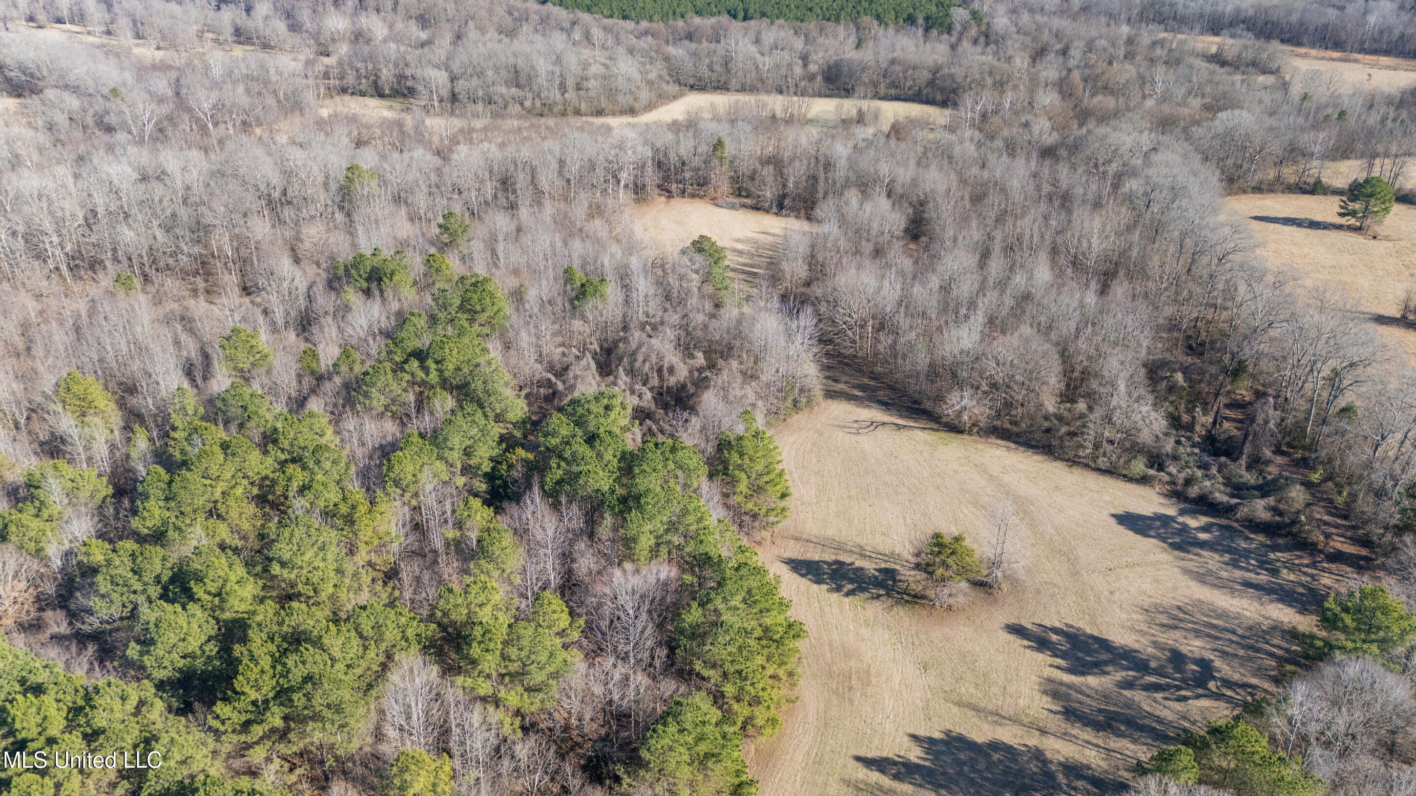891 Musgray Road Holly Springs, MS 38635 - Photo 95 of 100 194_dji_20260112134103_0329_d