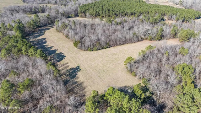 $2,500,000 | 891 Musgray Road, Holly Springs, MS 38635
