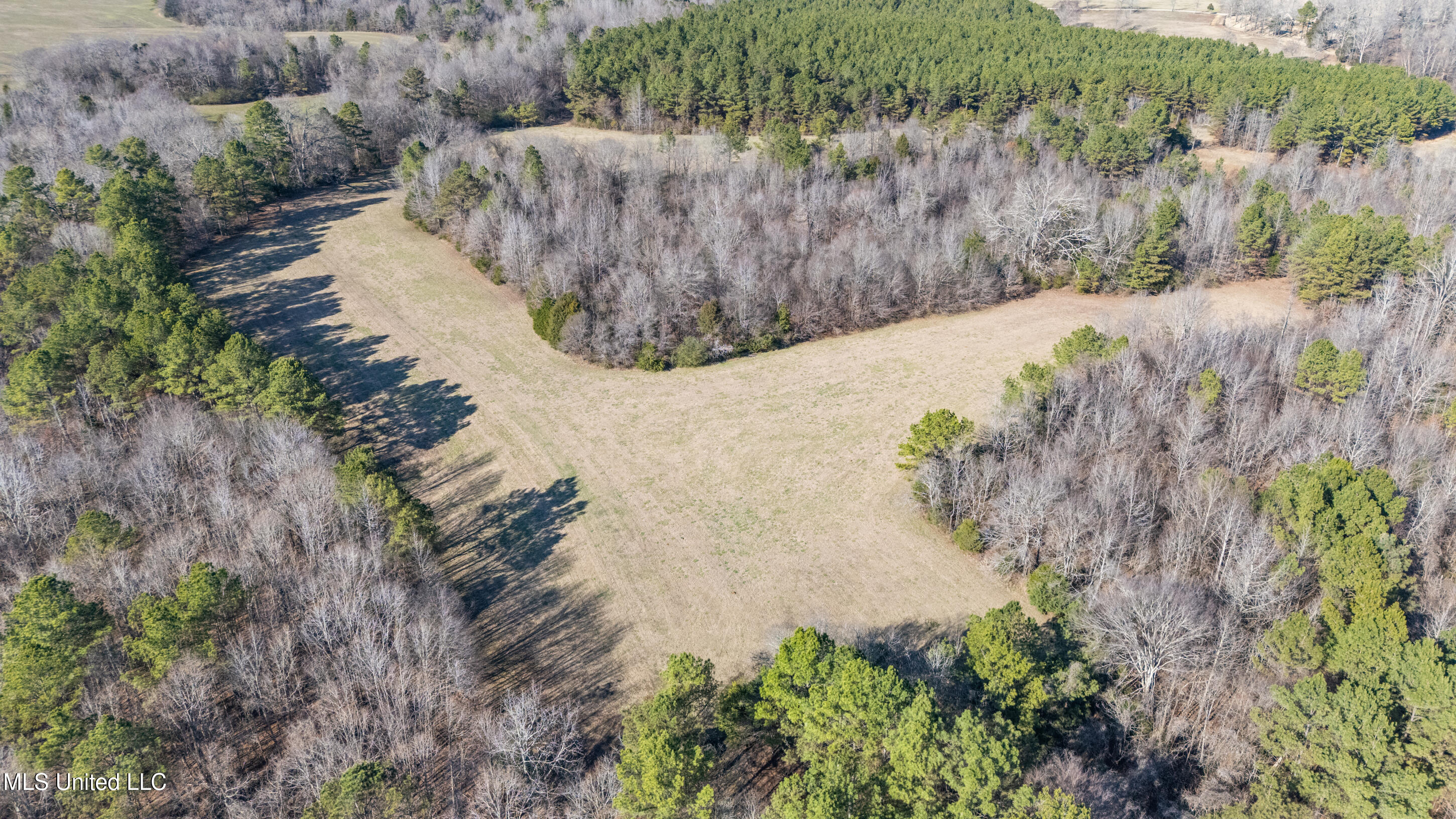 891 Musgray Road Holly Springs, MS 38635 - Photo 96 of 100 196_dji_20260112134134_0339_d