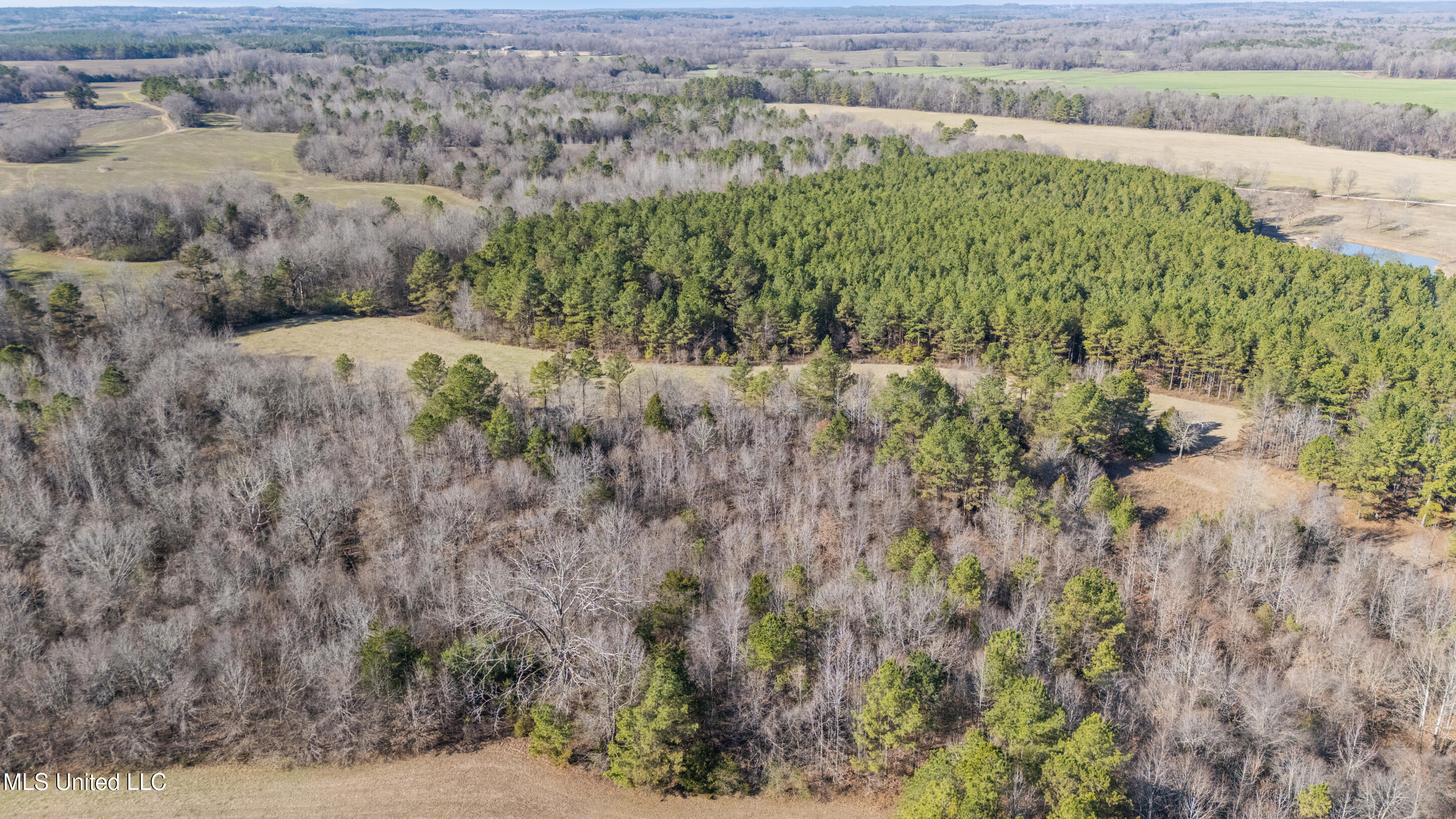 891 Musgray Road Holly Springs, MS 38635 - Photo 98 of 100 198_dji_20260112134310_0350_d