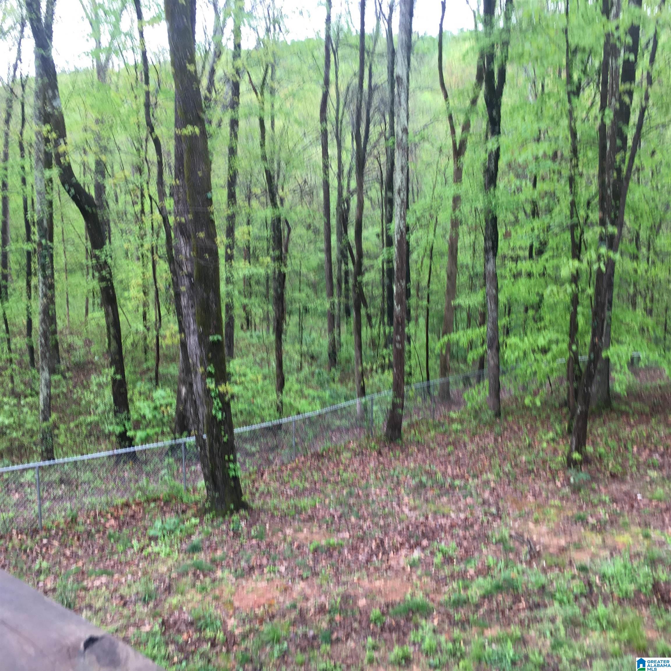 2459 Cox Cove Road Hayden, AL 35079 - Photo 17 of 18