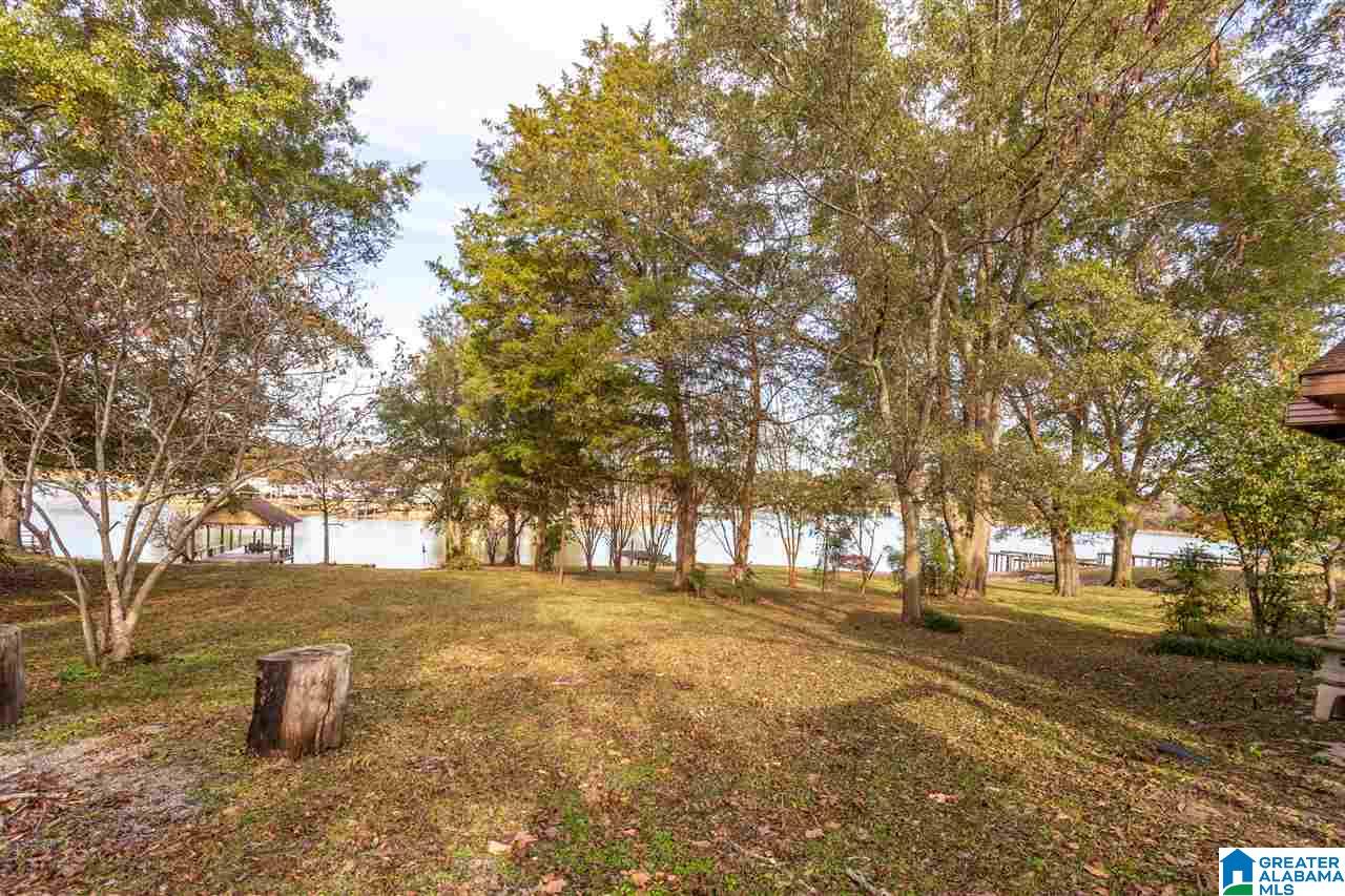 202 Blue Eye Road West Lincoln, AL 35096 - Photo 30 of 35
