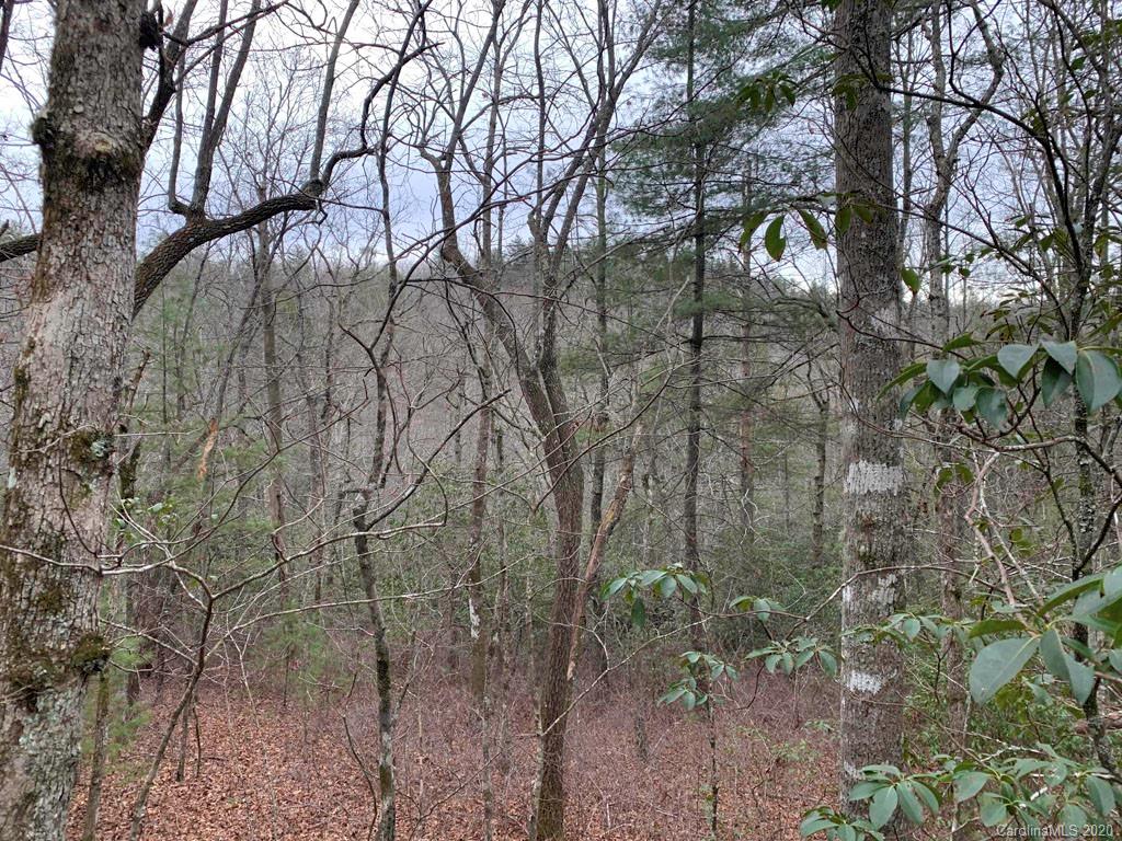 9999 Cardinal Road, Unit 27 Brevard, NC 28712 - Photo 1 of 25 Gallery Image 1