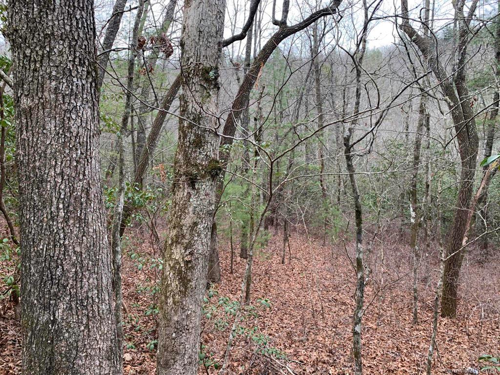 9999 Cardinal Road, Unit 27 Brevard, NC 28712 - Photo 2 of 25 Gallery Image 2