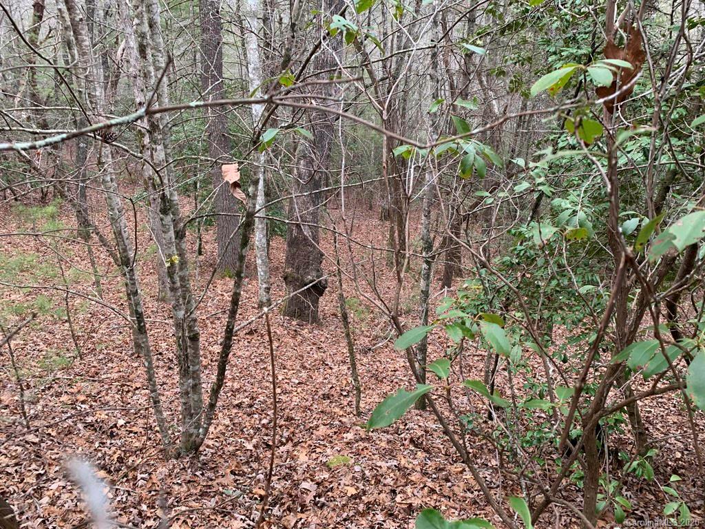 9999 Cardinal Road, Unit 27 Brevard, NC 28712 - Photo 11 of 25 Gallery Image 11