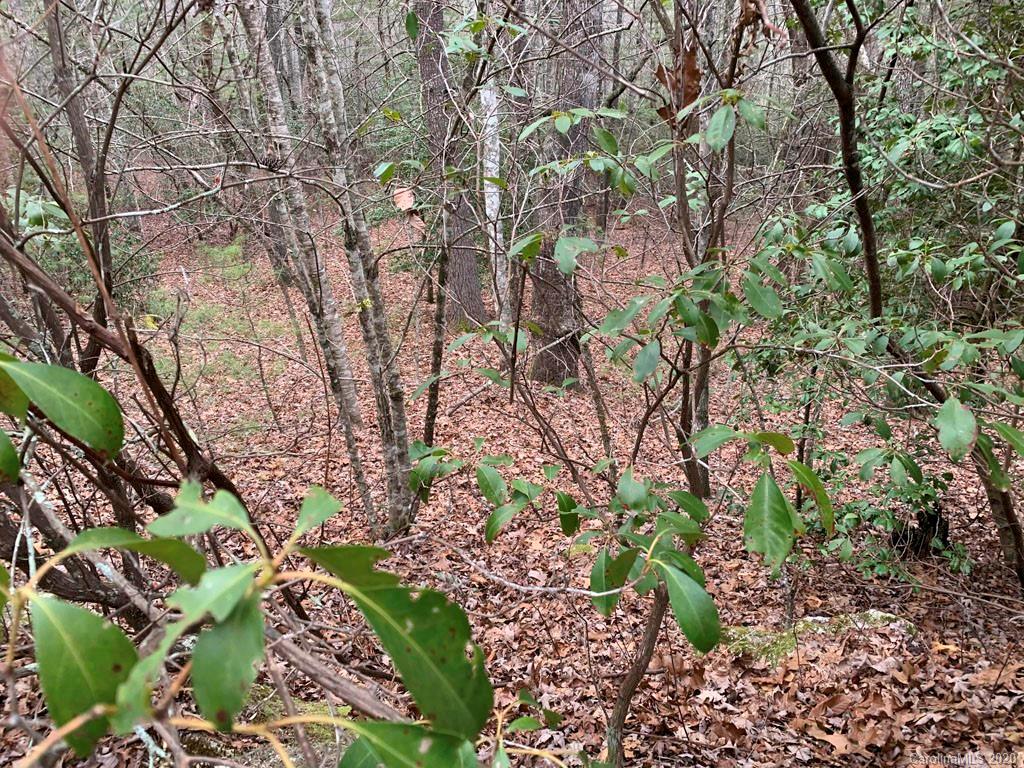 9999 Cardinal Road, Unit 27 Brevard, NC 28712 - Photo 12 of 25 Gallery Image 12