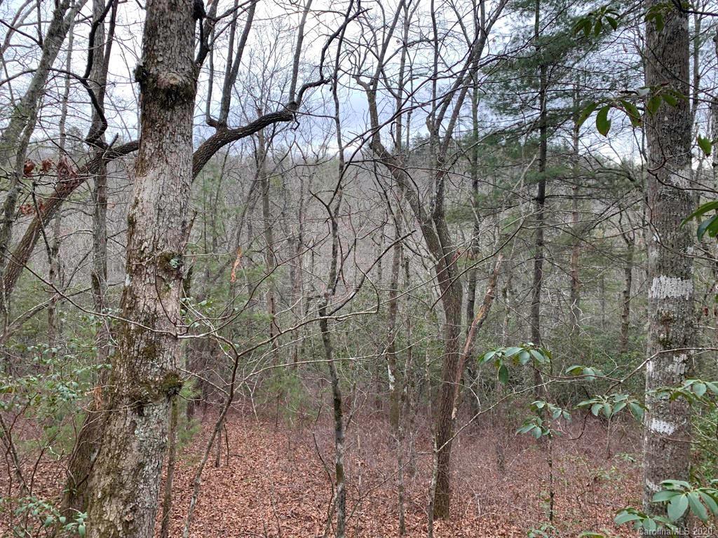 9999 Cardinal Road, Unit 27 Brevard, NC 28712 - Photo 3 of 25 Gallery Image 3