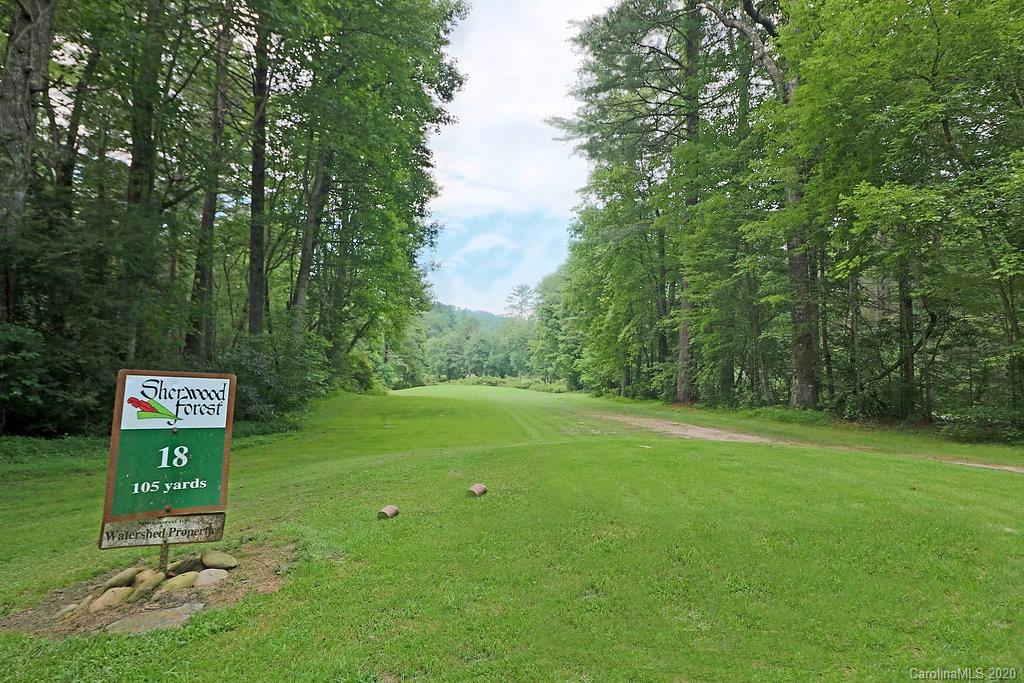 9999 Cardinal Road, Unit 27 Brevard, NC 28712 - Photo 23 of 25 Gallery Image 23