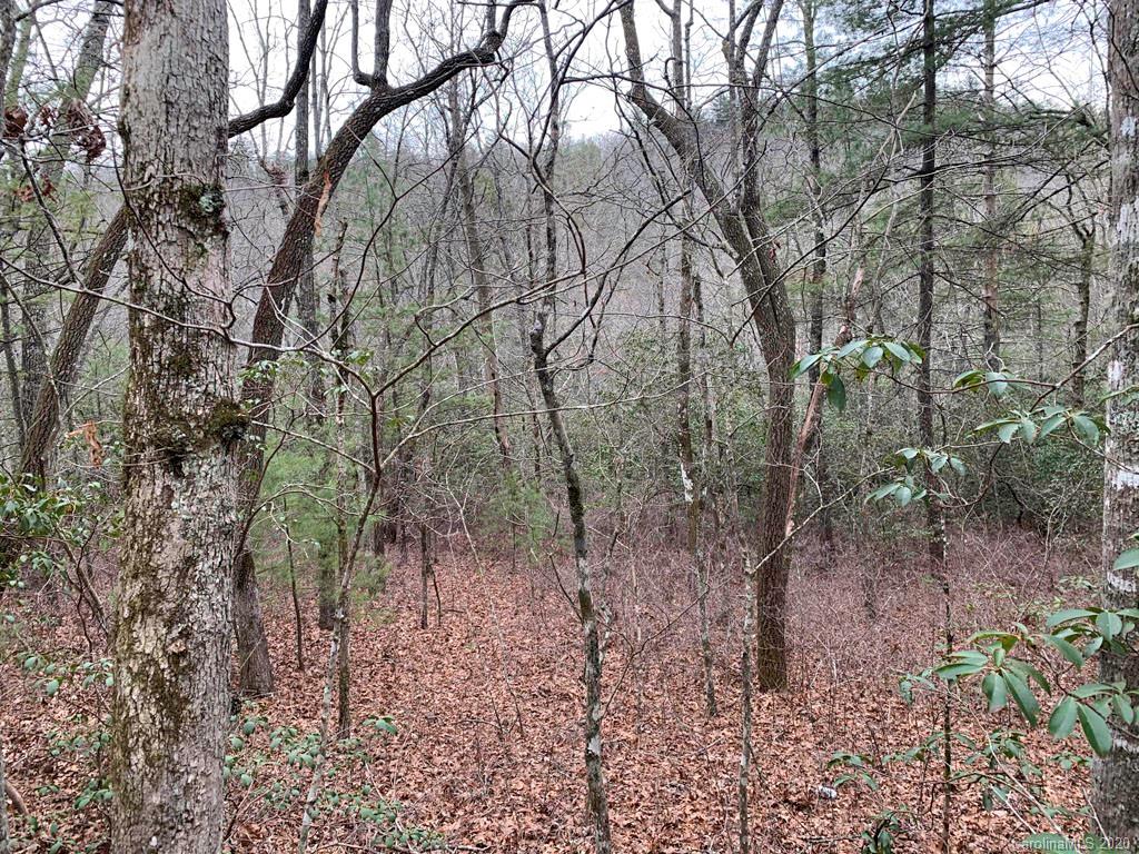 9999 Cardinal Road, Unit 27 Brevard, NC 28712 - Photo 4 of 25 Gallery Image 4