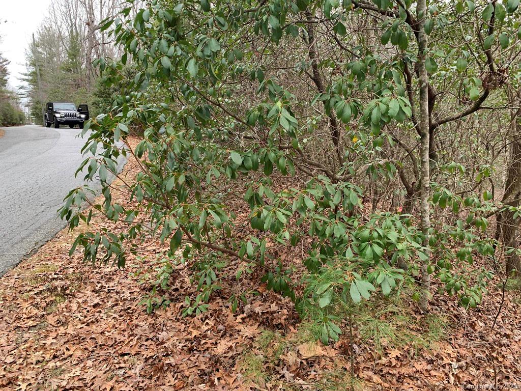 9999 Cardinal Road, Unit 27 Brevard, NC 28712 - Photo 6 of 25 Gallery Image 6