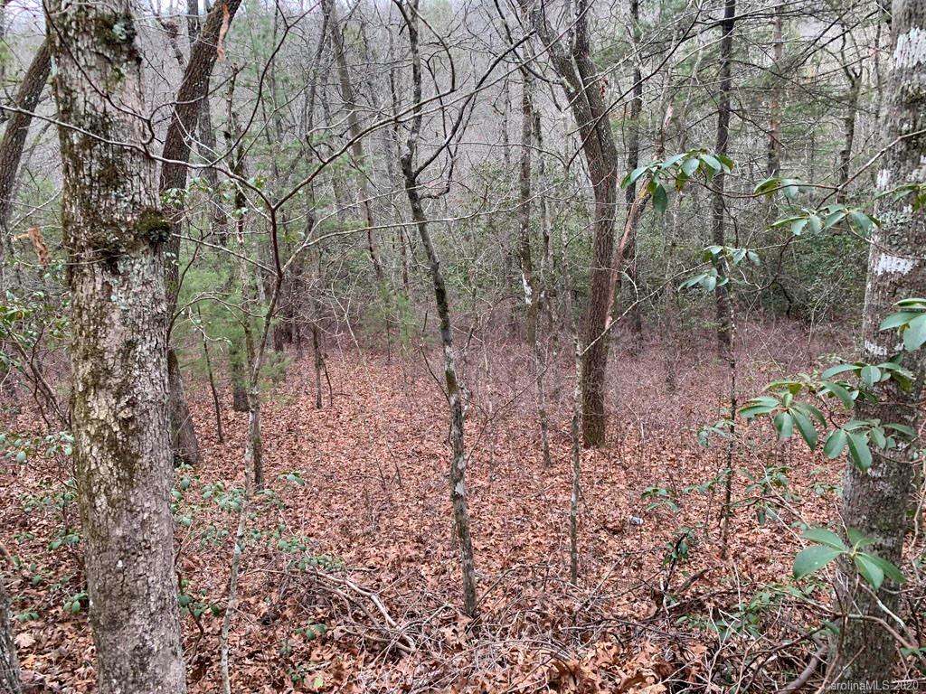9999 Cardinal Road, Unit 27 Brevard, NC 28712 - Photo 7 of 25 Gallery Image 7