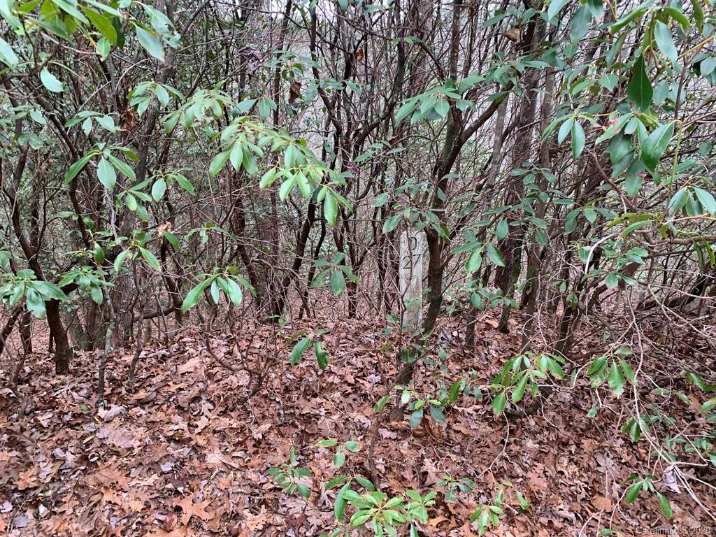 9999 Cardinal Road, Unit 27 Brevard, NC 28712 - Photo 8 of 25 Gallery Image 8