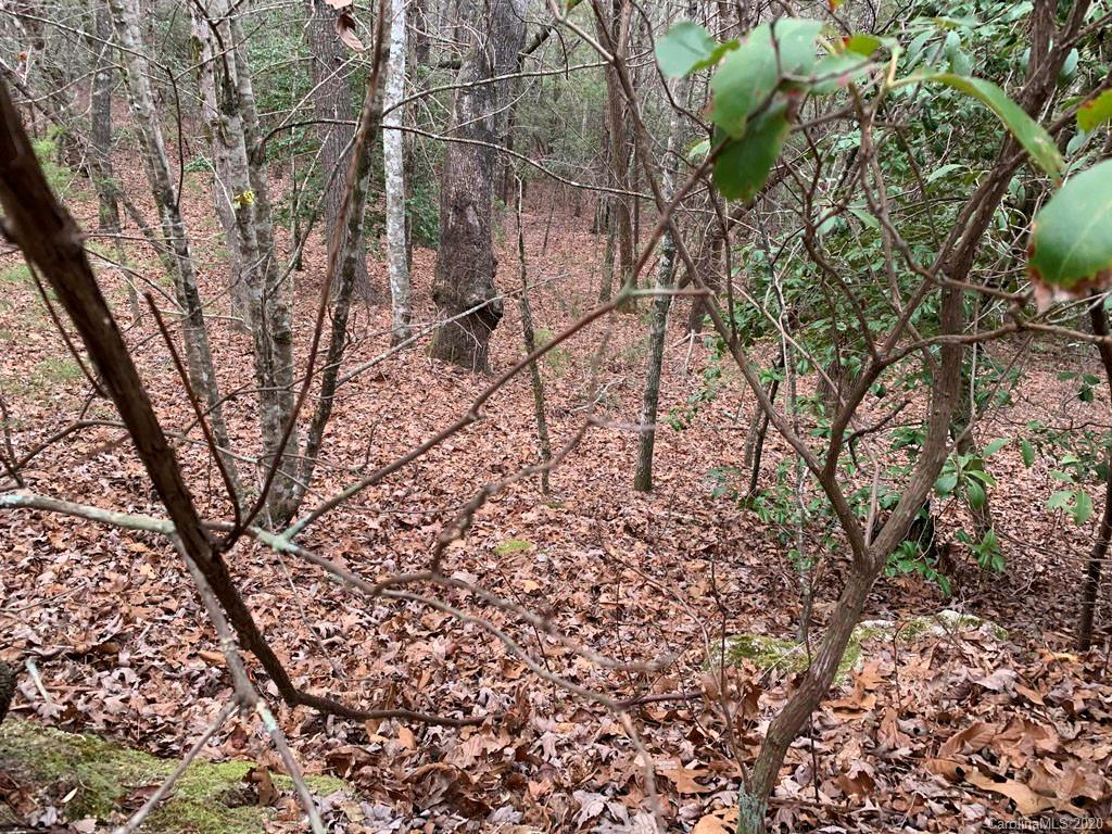 9999 Cardinal Road, Unit 27 Brevard, NC 28712 - Photo 10 of 25 Gallery Image 10
