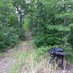 Damewood Hollow Road Luttrell, TN 37779 - Photo 3 of 27 LAAR557116AA