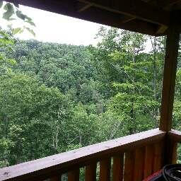 Damewood Hollow Road Luttrell, TN 37779 - Photo 5 of 27 LAAR557116C
