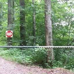 Damewood Hollow Road Luttrell, TN 37779 - Photo 6 of 27 LAAR557116D