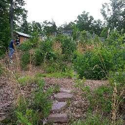 Damewood Hollow Road Luttrell, TN 37779 - Photo 10 of 27 LAAR557116I