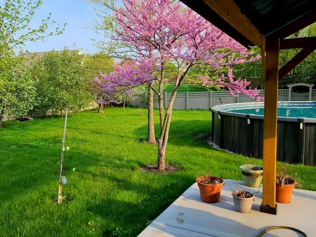 $749,900 | 18753 Rosewood Lane, Mokena, IL 60448