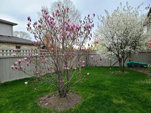 $749,900 | 18753 Rosewood Lane, Mokena, IL 60448