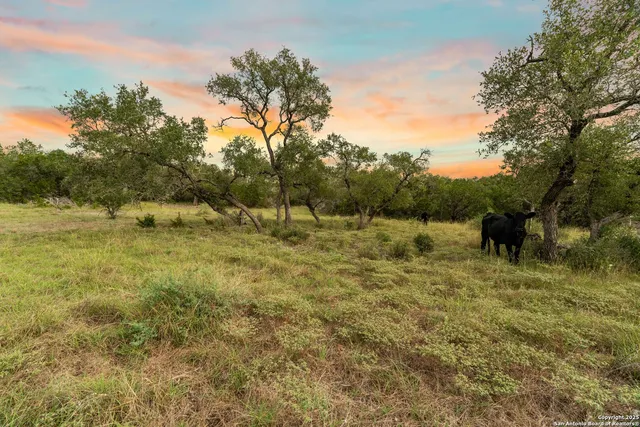 $259,000 | Lot 35 B Pr 2533, Mico, TX 78056