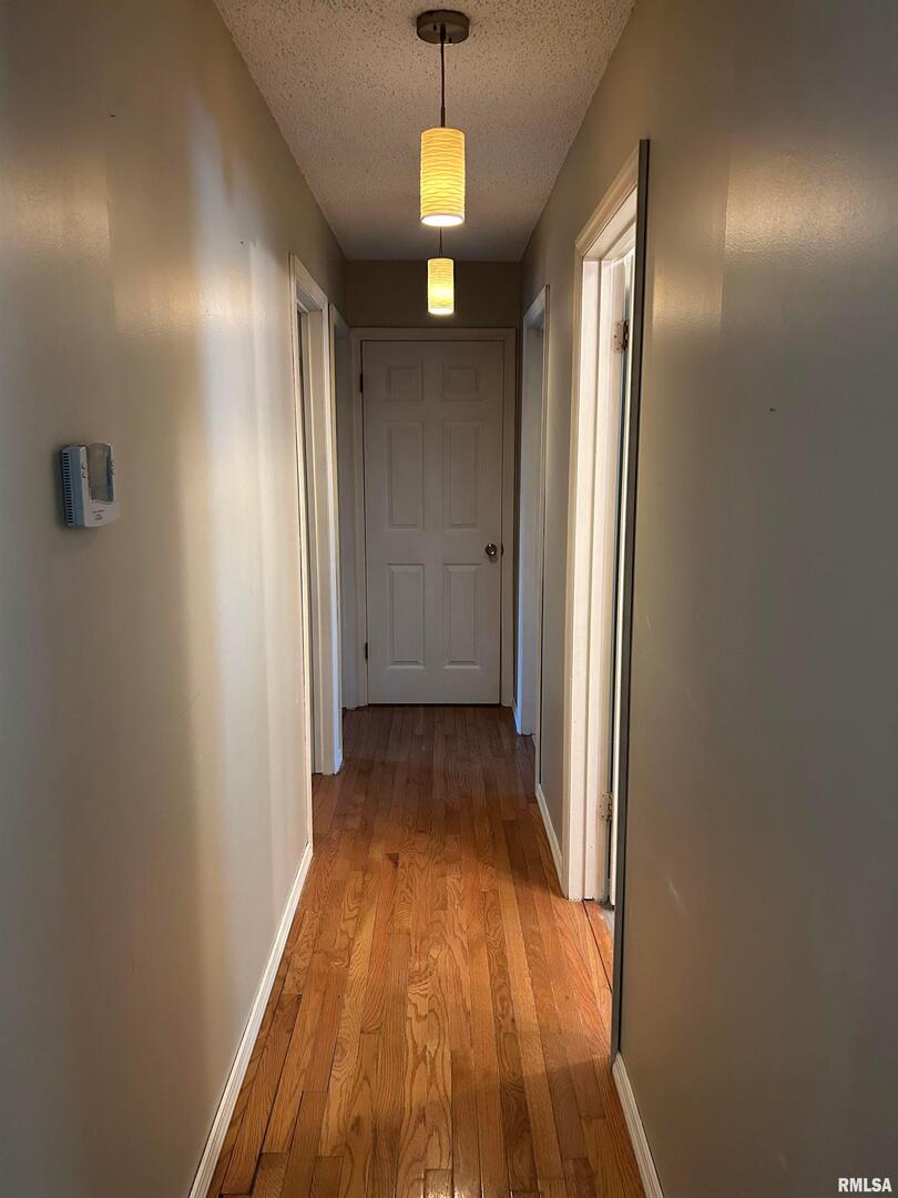 744 Cardinal Road Carbondale, IL 62901 - Photo 19 of 38 a view of a hallway with wooden floor