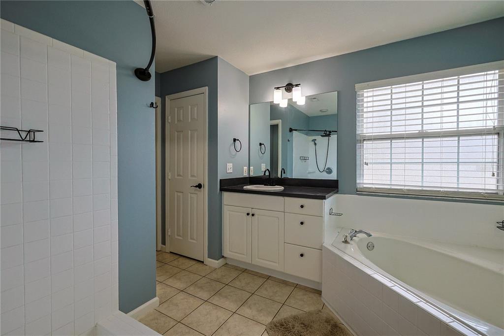 166 Southwest Hancock Court Lake City, FL 32024 - Photo 20 of 37 a bathroom with a bathtub a double vanity sink and mirror