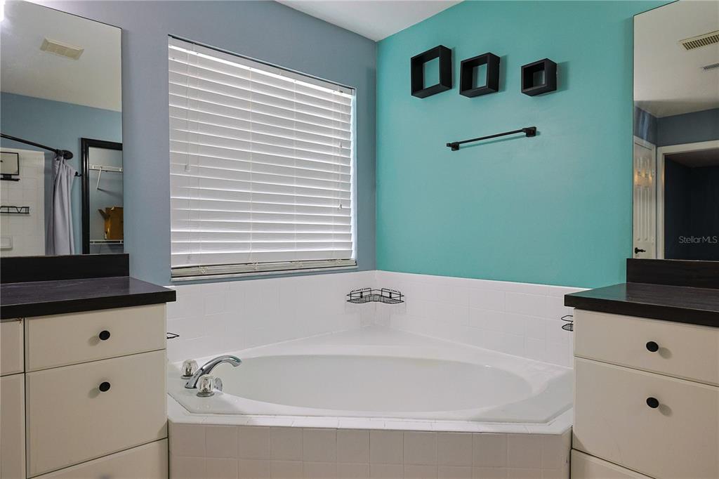 166 Southwest Hancock Court Lake City, FL 32024 - Photo 24 of 46 a bathroom with a bathtub and a window