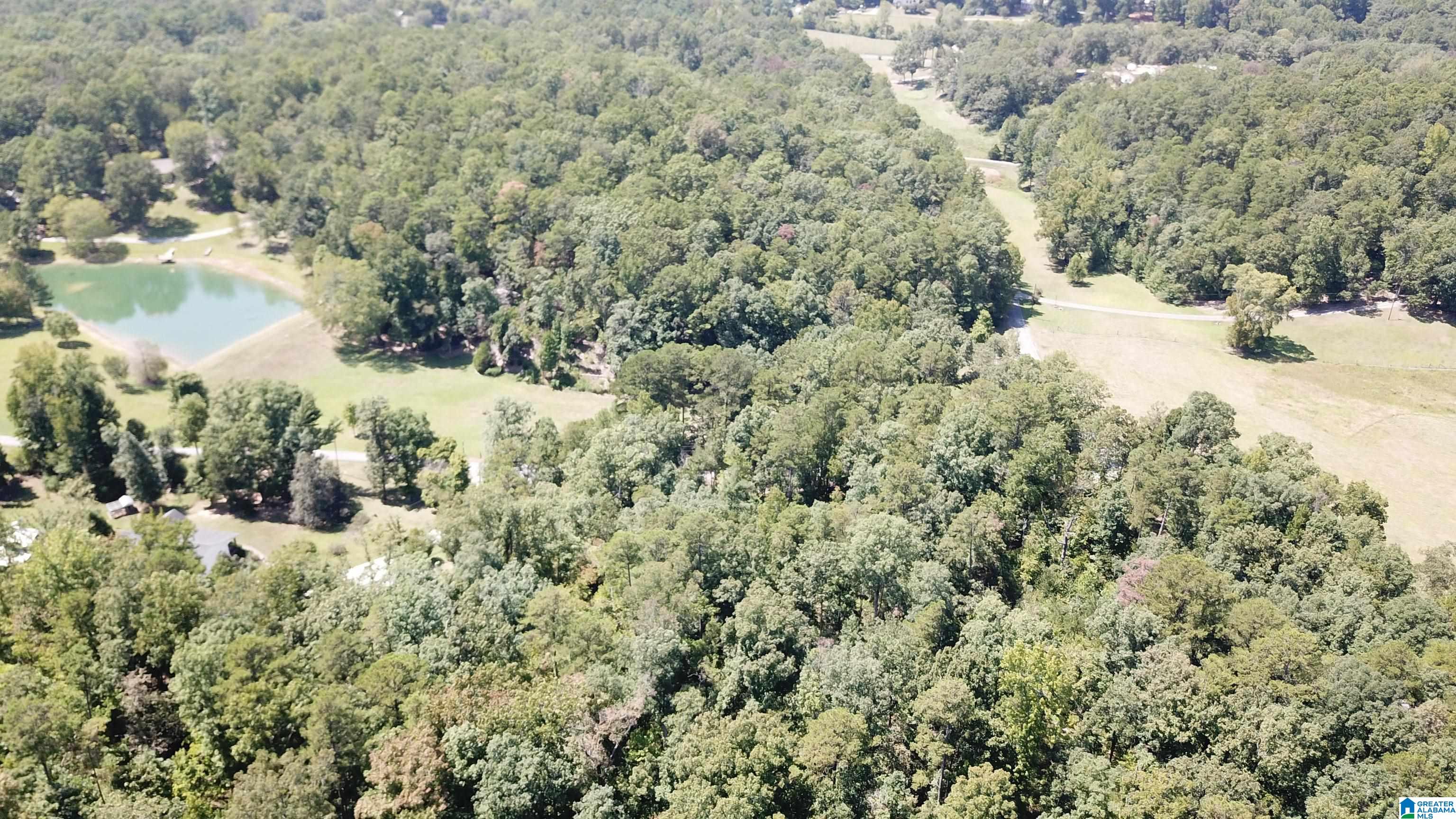 0 Taylor Road, Unit 10 2 Remlap, AL 35133 - Photo 20 of 25